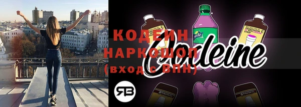 эйфоретик Арсеньев