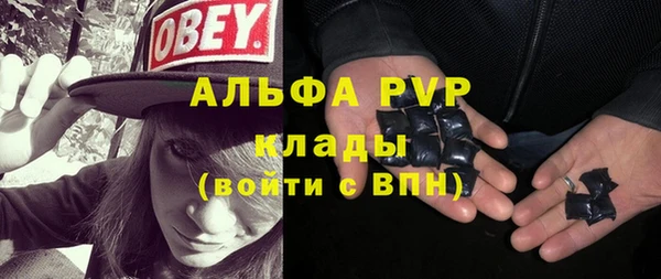эйфоретик Арсеньев