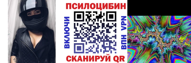 Галлюциногенные грибы MAGIC MUSHROOMS  закладки  Полесск 